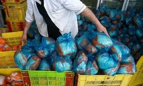 ۸ تن مرغ زنده قاچاق در بدره کشف شد