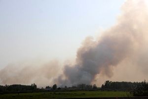 شناسایی و دستگیری عوامل آتش‌سوزی اراضی تالاب انزلی