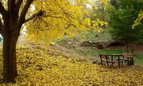 عاشقانه ترین جای دنیا