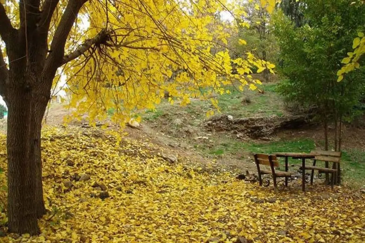 عاشقانه ترین جای دنیا