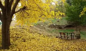 عاشقانه ترین جای دنیا