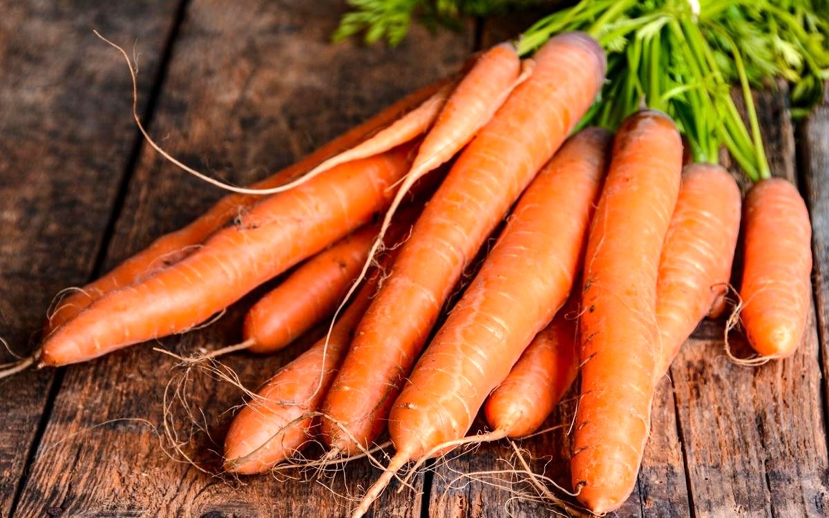 قیمت هویج باز هم گران شد/ مغازه داران کم سود می کنند