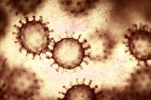 ثبت نخستین مرگ بر اثر ابتلا به ویروس خطرناک "ماربورگ" در آفریقا