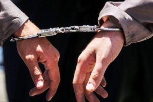 دستگیری ۸ نفر از اراذل و اوباش شناسنامه دار در اهر