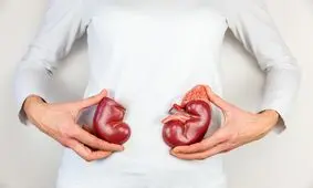 رژیم غذایی کم کربوهیدرات به کلیه ها آسیب نمی رساند