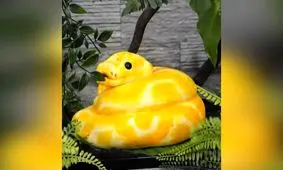 کیک‌ های خوردنی عجیب و باورنکردنی/ ویدئو