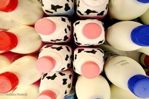 شیر گران خواهد شد؟
