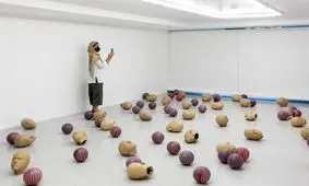 هنرهای تجسمی هنوز به عنوان یک ضرورت درک نشده است