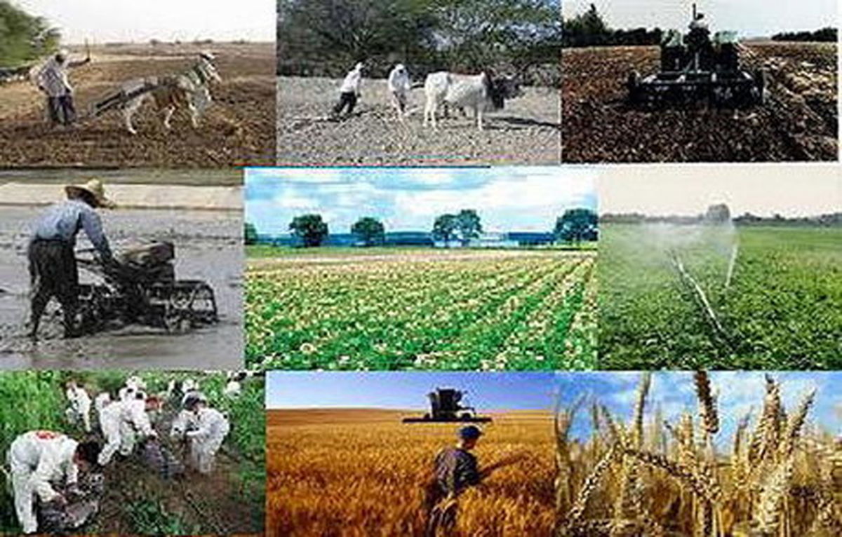 برخی اقدامات اجرایی وزارت جهاد کشاورزی منتج به ایجاد رانت برای عده ای خاص شده است