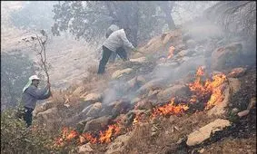 حریق در تالاب بین المللی ارژن مهار شد