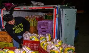 توقیف ۲ تُن مرغ فاقد مجوز در قزوین