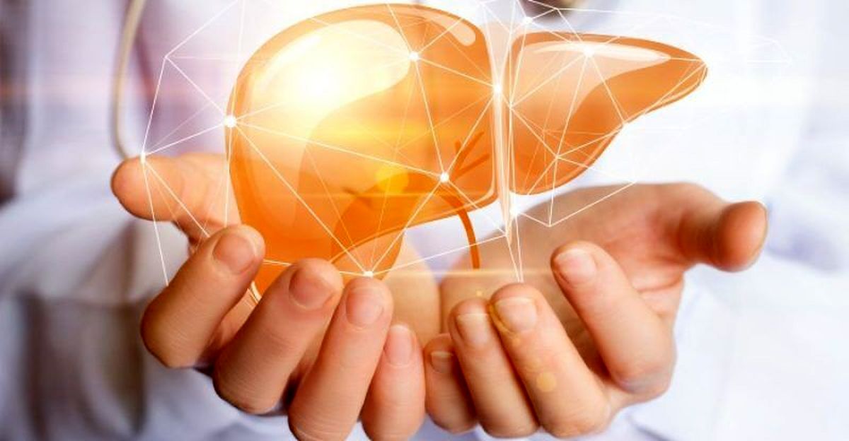 پاکسازی کبد را به خاطر ۷ دلیل، فراموش نکنید