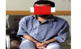 دردسر شیطانی دوربین‌ های مداربسته برای خانه ویلایی زن جوان