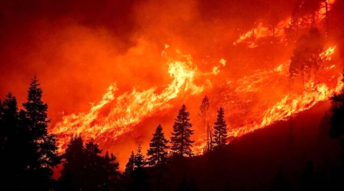تشدید آتش سوزی "کالدور" در غرب آمریکا