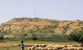 حمله تروریستی به حماة سوریه/کشته شدن یک کودک و زخمی شدن ۹ تن