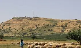حمله تروریستی به حماة سوریه/کشته شدن یک کودک و زخمی شدن ۹ تن