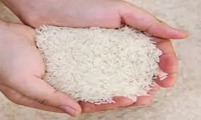 افزایش قیمت برنج ایرانی تا ۴۶ هزار و ۵۰۰ تومان
