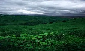 جاذبه های گردشگری استان گیلان را بشناسید