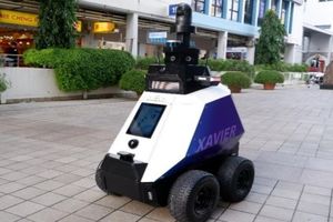 جریمه بدرفتاری در سنگاپور، رباتیک شد