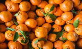تا اول مهر نارنگی نخرید