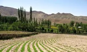 چمن گورسفید شنیده بودیم، اما هیچ چمنی ندارد مگر اندکی، همه را زراعت کرده‌اند