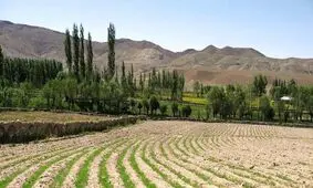 چمن گورسفید شنیده بودیم، اما هیچ چمنی ندارد مگر اندکی، همه را زراعت کرده‌اند