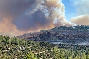آتش‌سوزی پارک جنگلی کرخه مهار شد/ رفع خطر از سایت نگهداری گوزن زرد ایرانی