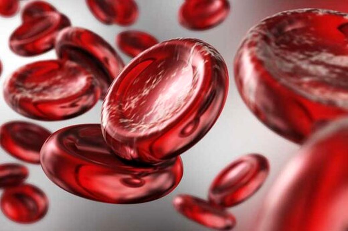 افزایش هموگلوبین خون با این ۶ ماده غذایی
