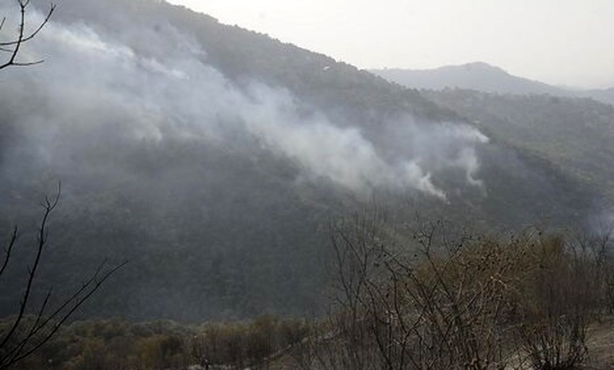 آتش سوزی در منطقه حفاظت شده «مله گاله» پارک ملی بمو مهار شد