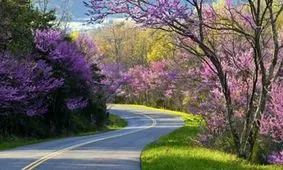 جاده های شگفت انگیز برای رانندگی