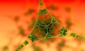 تولید واکسن کووید-۱۹ مقاوم در برابر گرما، درون گیاه و باکتری!