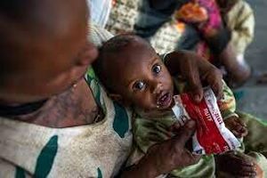 ۱۵۰ تن ماه گذشته در تیگرای اتیوپی از گرسنگی جان دادند