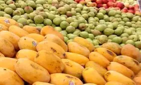 کاهش قیمت ۷ قلم میوه در میادین میوه و تره بار تهران