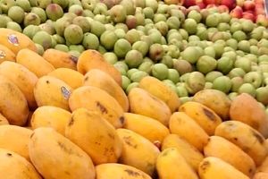 کاهش قیمت ۷ قلم میوه در میادین میوه و تره بار تهران