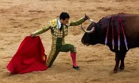 اولین جشنواره گاوبازی پس از پاندمی کرونا/ ویدئو