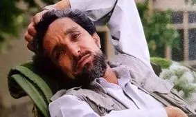 احمدشاه مسعود، چریکی برای همه فصول