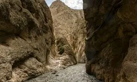 زن‌ها همه آمدند اکسپوزیسیون آقاابراهیم را تماشا کردند