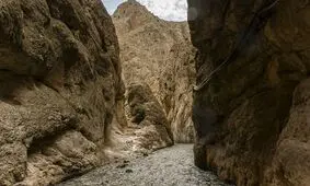 زن‌ها همه آمدند اکسپوزیسیون آقاابراهیم را تماشا کردند