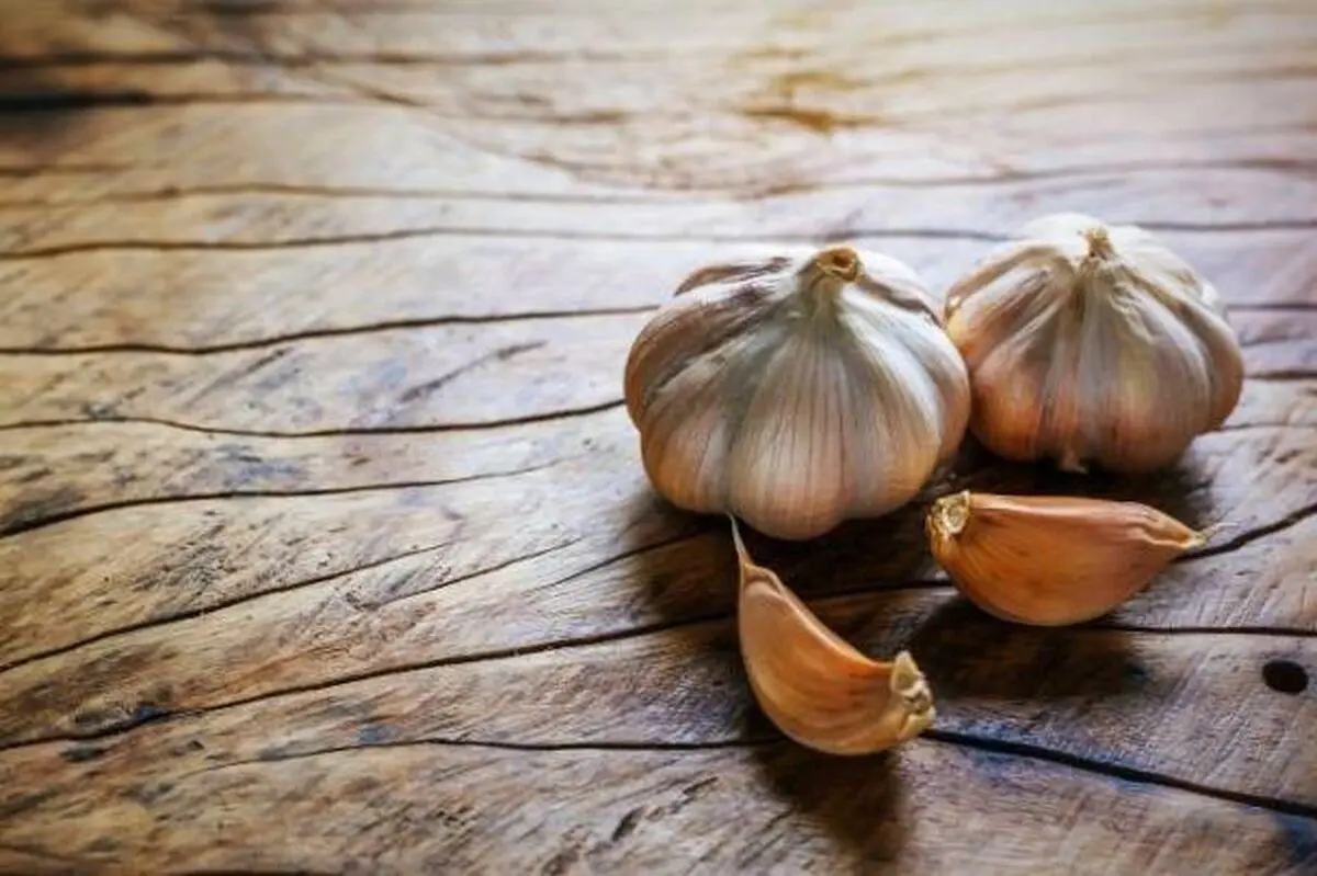 خوردن روزانه یک حبه سیر با شکم خالی معجزه می کند