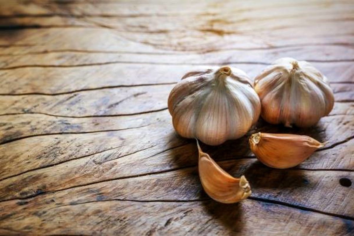 خوردن روزانه یک حبه سیر با شکم خالی معجزه می کند