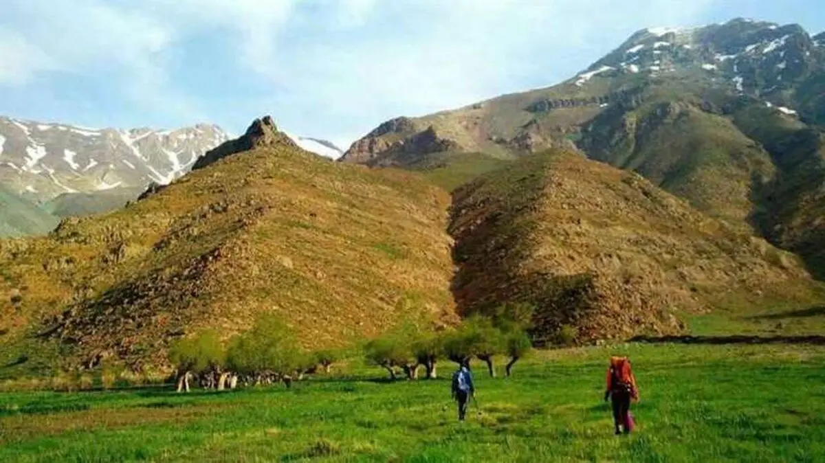 اهالی دشت هویج را بهتر بشناسید