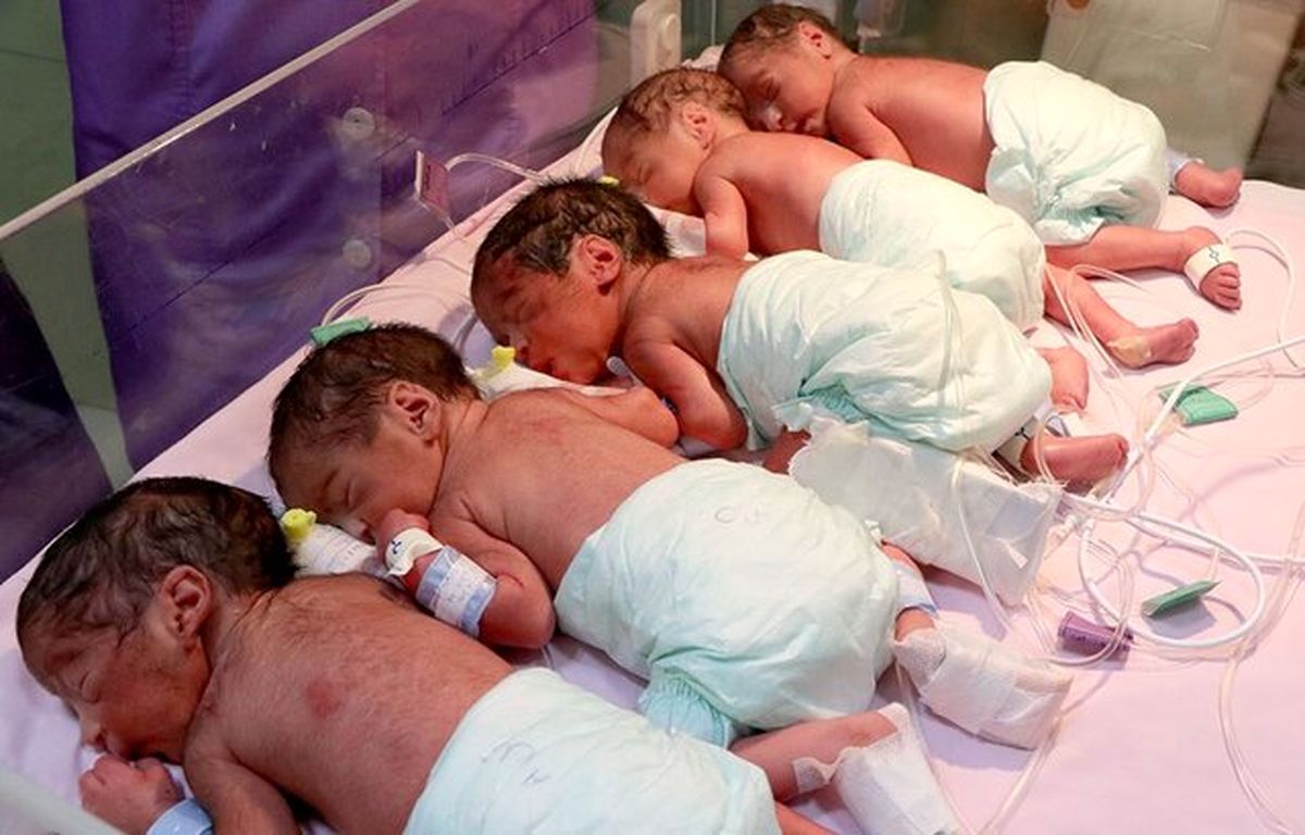 تولد ۵ قلوها در شیراز/ وضعیت عمومی نوزادان مطلوب است