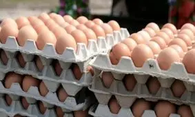 هر دانه تخم مرغ ۱۶۰۰ تومان شد