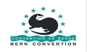 آثار پیوستن به کنوانسیون برن از منظر سیاستگذاری فرهنگی