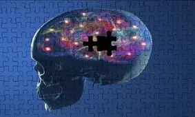 پروژه 3 میلیون دلاری پژوهشگران آمریکایی برای حل معمای پارکینسون