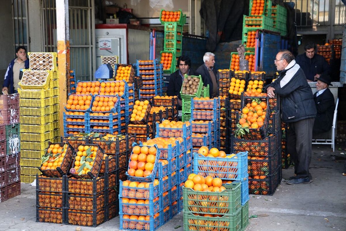 برخورد با دلالهای میدان میوه و ترباره الغدیر از توان سازمان خارج است/ دستگاه های نظارتی باید ورود کنند
