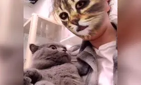 واکنش خنده دار گربه‌ ها در مقابل فیس فیلتر اینستاگرام/ ویدئو