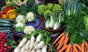 رژیم غذایی مدیترانه ای عمرتان را طولانی می‌کند