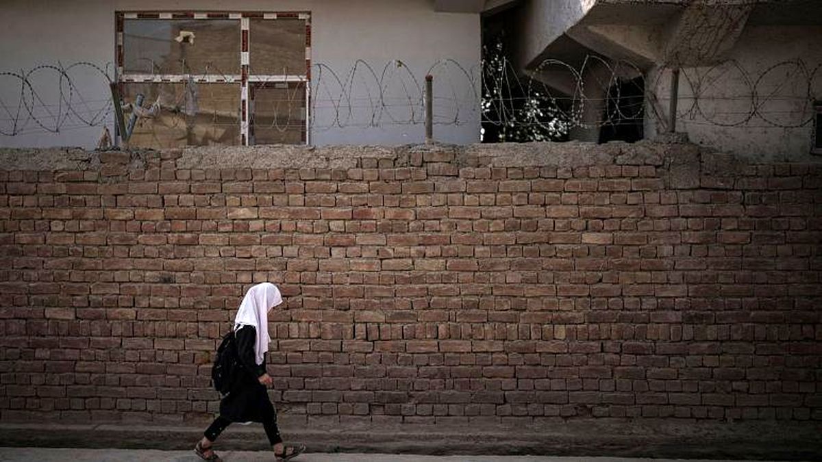 درسهای متضاد با شریعت حذف میشوند/ استادان مرد میتوانند به دانشجویان دختر تنها از «پشت پرده» درس دهند