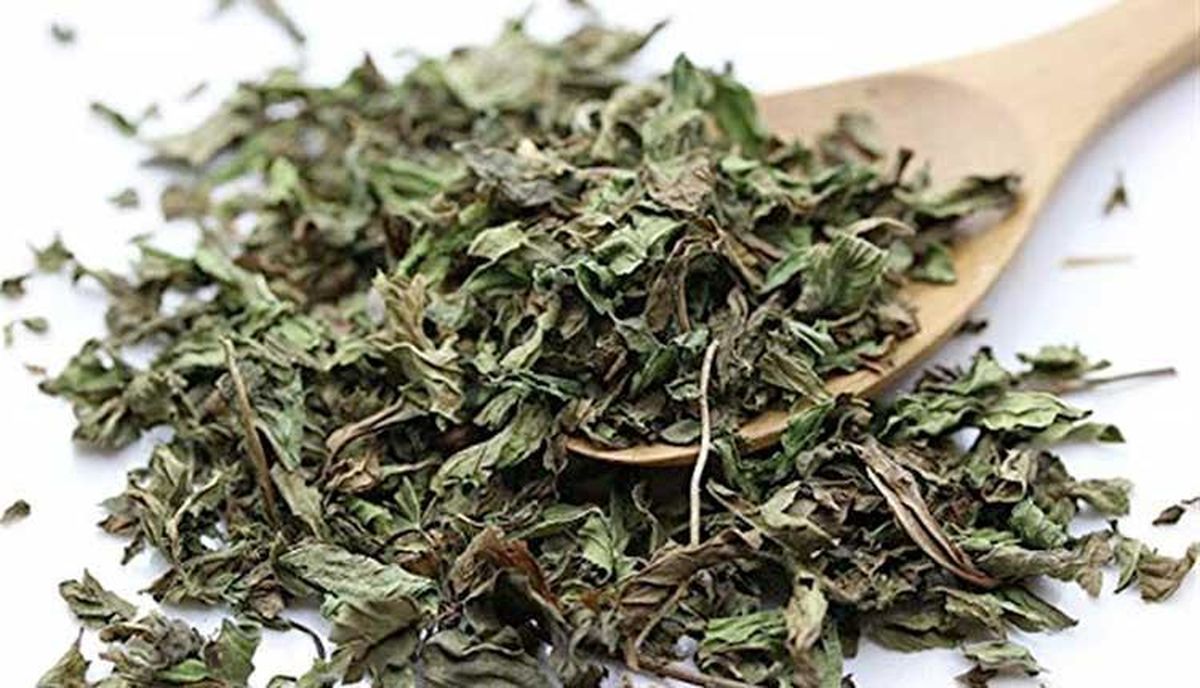 روش های خشک کردن نعنا در منزل و نکات مهم